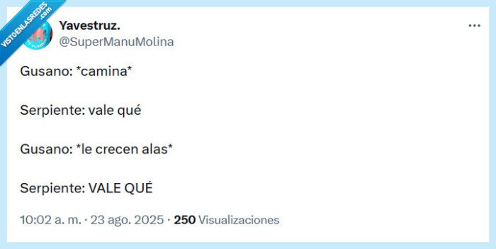 gusano,serpiente,alas,caminar