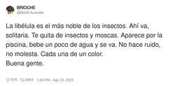 Enlace a Más libélulas, menos mosquitos, por @BrioEnfurecida