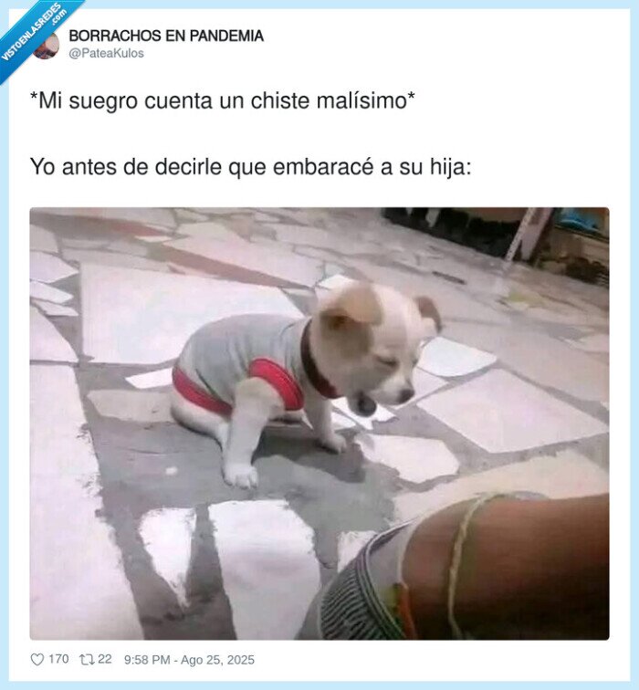 suegro,chiste,reirse,hacer la pelota