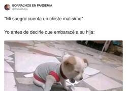 Enlace a JA JA JA, por @PateaKulos