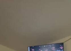 Enlace a Cuánto arte, por @PropositoyVida