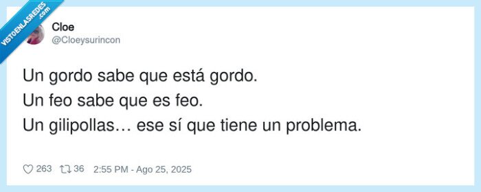 gilipolIas…,problema,gordo,feo