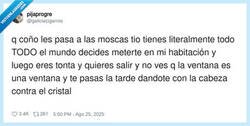 Enlace a Nadie las entiende, por @galiciacigar