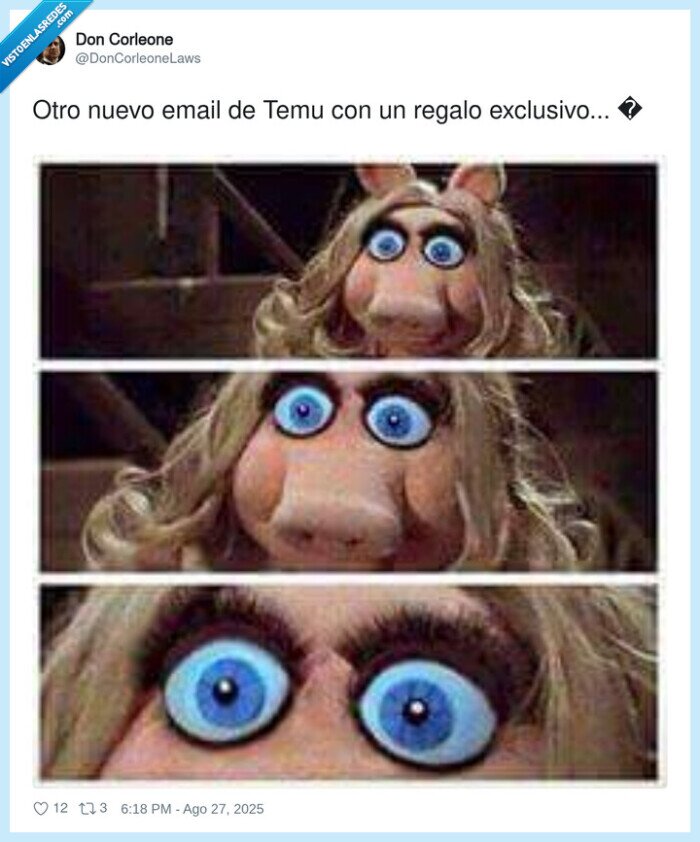 exclusivo,regalo,nuevo,email,peggy,temu