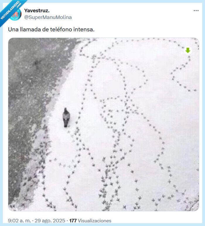 llamada,intensa,teléfono