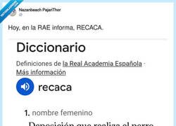 Enlace a Ojalá, por @nazanbeach