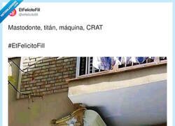 Enlace a Pues en ese balcón se tiene que estar fresquito, por @etfelicitofill