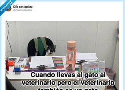 Enlace a ¿Y qué se hace en estas situaciones? por @DiloConGatitoz