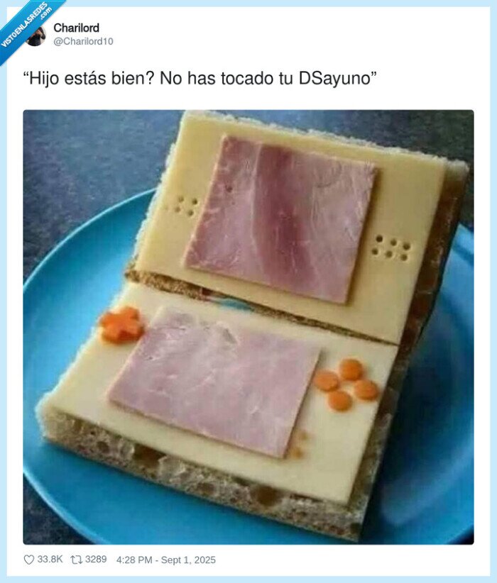 dsayuno,nintendo ds