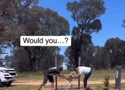 Enlace a En mi casa hay las del perro del vecino y del paleta borracho, por @EstebanNavarroS