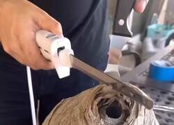 Enlace a Yo no tendría huevos de hacerlo, por @EnsedeCiencia