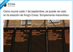 Enlace a Brutal, por @EiProfeta