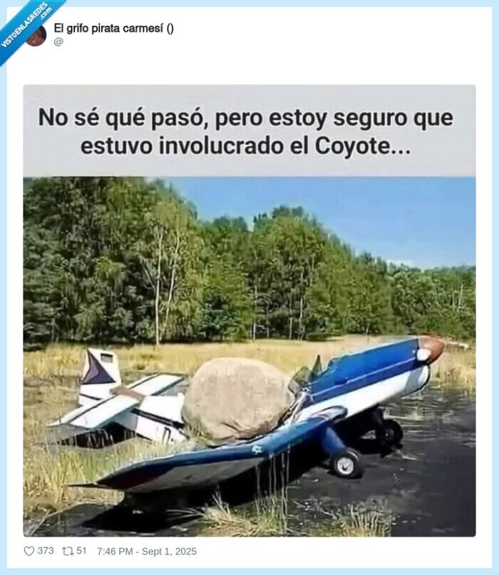 coyote,piedra,avioneta