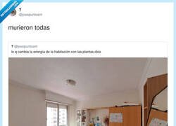 Enlace a El antes y el después, por @josepuntoant