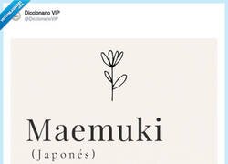 Enlace a Otra palabra que me da paz, por @DiccionarioVIP