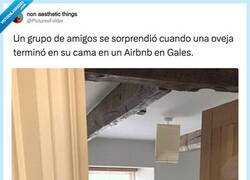 Enlace a Si es así, yo pago el doble, por @PicturesFoIder