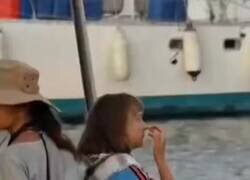 Enlace a Busca busca, Greta, por @ElSecreDeEuge