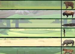 Enlace a Distancia segura para observar animales silvestres