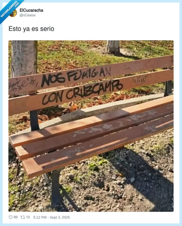 banco,fumigar,cerveza