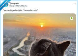 Enlace a Mira bien por @supermanumolina