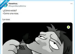 Enlace a No lloren por mí por @supermanumolina