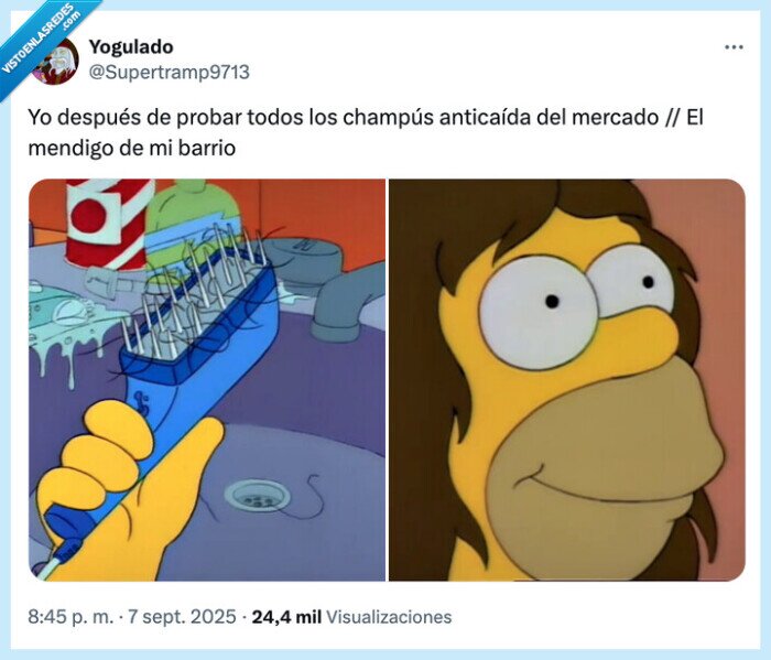 anticaída,pelazo,champús,mercado,mendigo