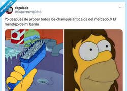 Enlace a ¿Cómo lo hará para tener ese pelazo?, por @Supertramp9713