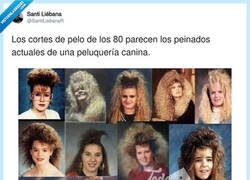 Enlace a ¿No podían ver lo estrafalario que era?, por @SantiLiebanaR