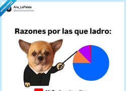 Enlace a El perro, ese animal que vive para joder al vecino, por @ymuchosmemes