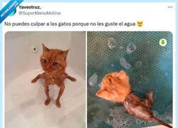 Enlace a Bien merecido por @supermanumolina