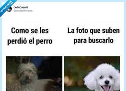 Enlace a Pues no creo que lo encuentren, por @elcapodeloeste_