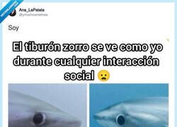 Enlace a Se le ve confundido, por @ymuchosmemes