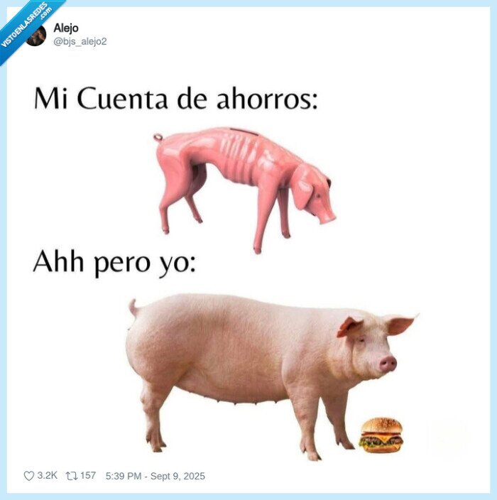 cerdo,ahorros,dinero,gordo