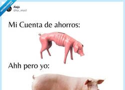 Enlace a Carpe diem, por @bjs_alejo2