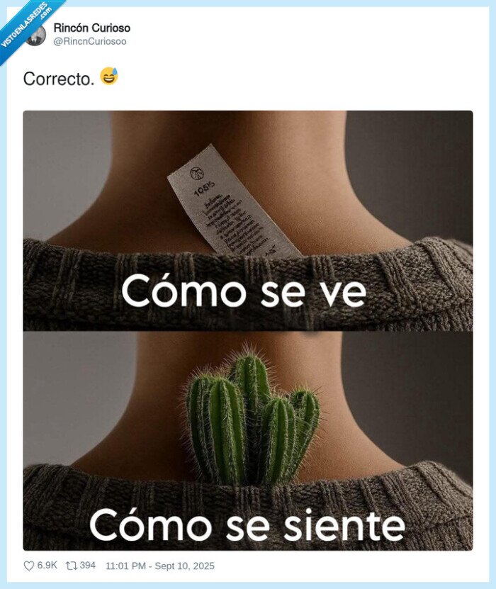 cactus,etiqueta,jersey