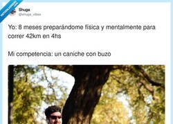 Enlace a Eso es trampa, por @shuga_vibes