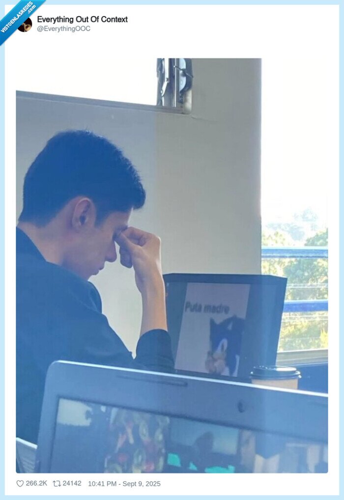 sonic,pta madre,ordenador