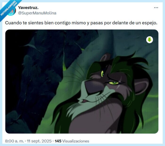 bien,espejo,el rey león,scar