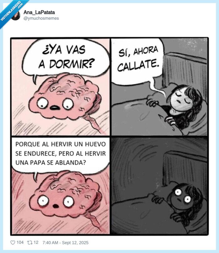 cerebro,ablandarse,huevo,endurecer