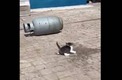 Enlace a Por este cine casero y de calidad sí que pago entrada a gusto