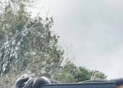 Enlace a Prefiero que me roben una vez por semana que vivir ahí