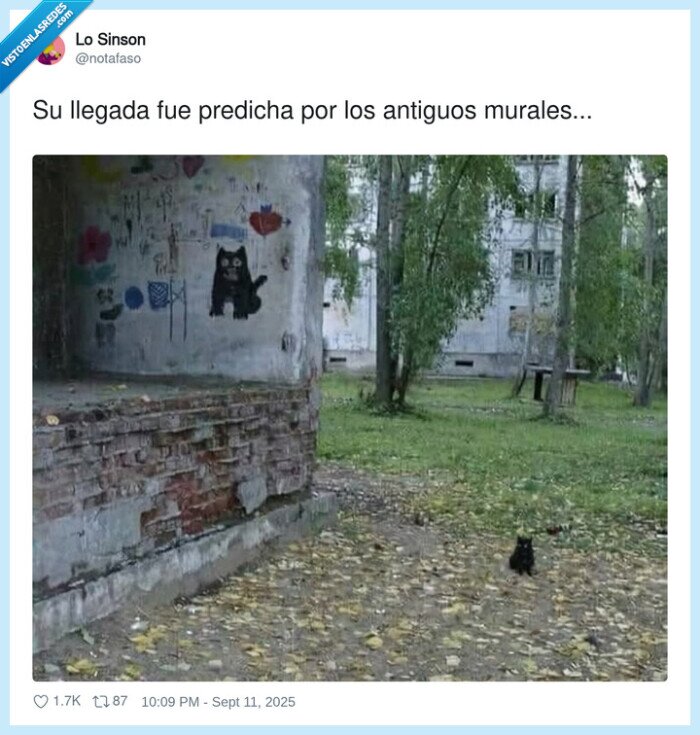 predicha,antiguos,llegada,murales,gato negro