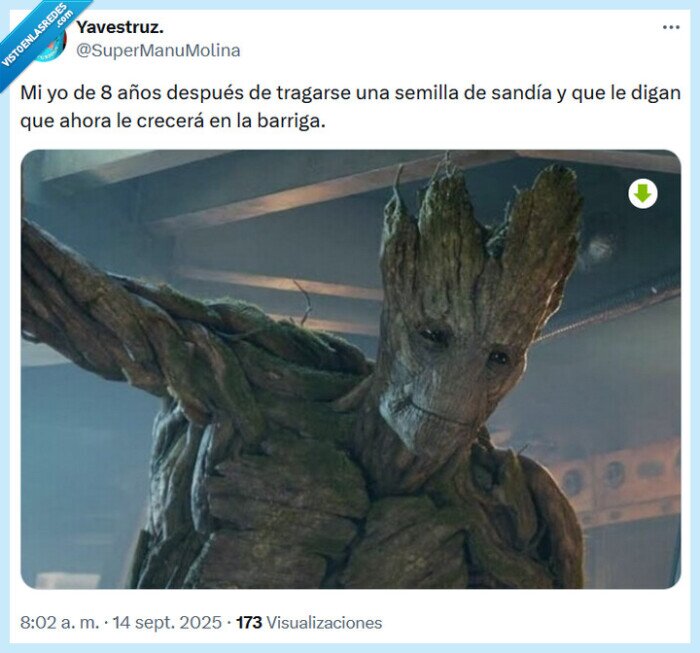 semilla,sandía,barriga,marvel,groot
