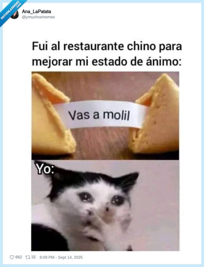 chino,galletita,futuro,suerte