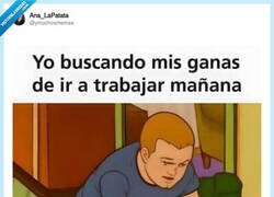 Enlace a Avisa si las encuentras, por @ymuchosmemes