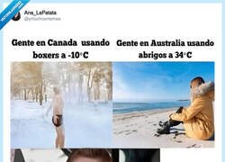 Enlace a Deberían hacérselo mirar, por @ymuchosmemes