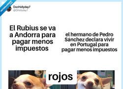 Enlace a Doble rasero, por @DHollyday7