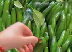 Enlace a Dicen que sabe igual que el aguacate estándar, por @EnsedeCiencia