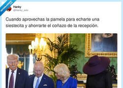 Enlace a Melania es más lista que nadie, por @Hanky_solo