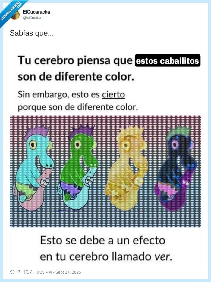 ver,efecto,cerebro,colores